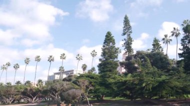 Şehir parkındaki palmiye ağaçları, La Jolla 'daki Rocky Point, San Diego, California sahilleri, ABD. Rıhtım ya da palmiye ağaçlarıyla dolu bir sahil yolu. Tahta kaldırımlı, tropik yaz yeşilliği. Mavi gökyüzü ve bulutlar
