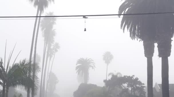 Turnschuhe Die Einer Stromleitung Hängen Nebel Auf Einer Straße Der — Stockvideo