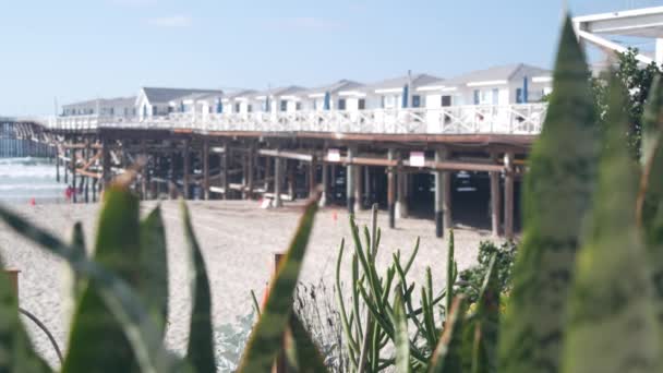 Muelle Cristal Madera Cabañas Blancas California Playa Del Océano Casas — Vídeos de Stock