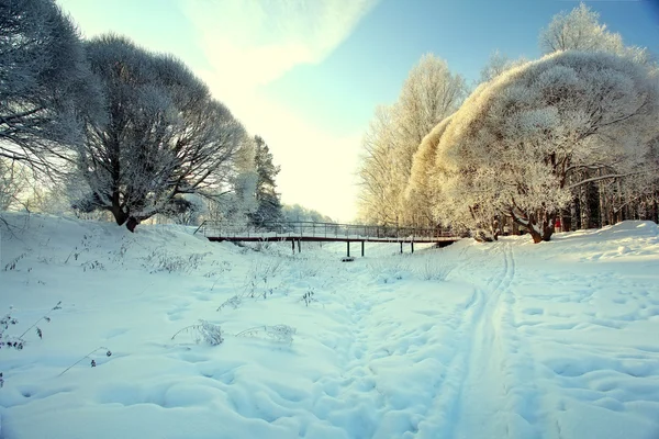 Güneşli bir gün, kar yollar üzerinde park ve frost ağaçları kış manzarası — Stok fotoğraf