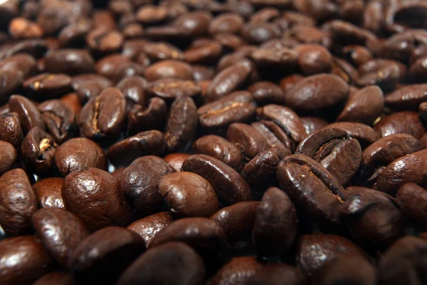 Grãos de café, textura arábica — Fotografia de Stock