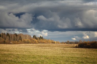 sonbahar orman ve soğuk hava alanı