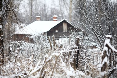 köyde kış, karla kaplı kırsal, orman ve ahşap evler