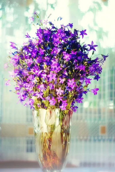 Bouquet of wild flowers in a vase in soft colors — Stock Photo, Image