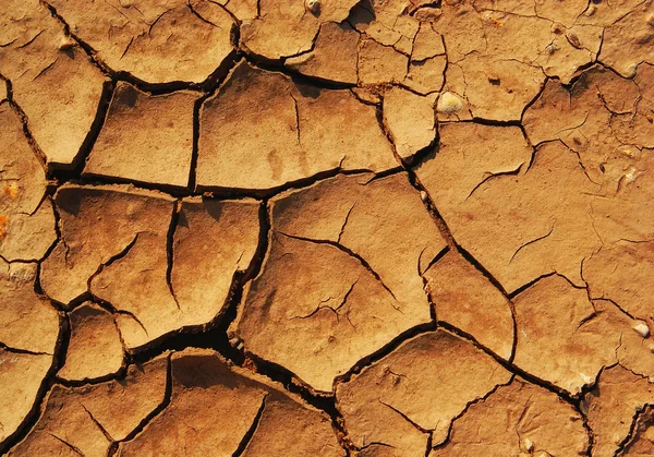 Sequía, suelo agrietado, fondo, textura —  Fotos de Stock