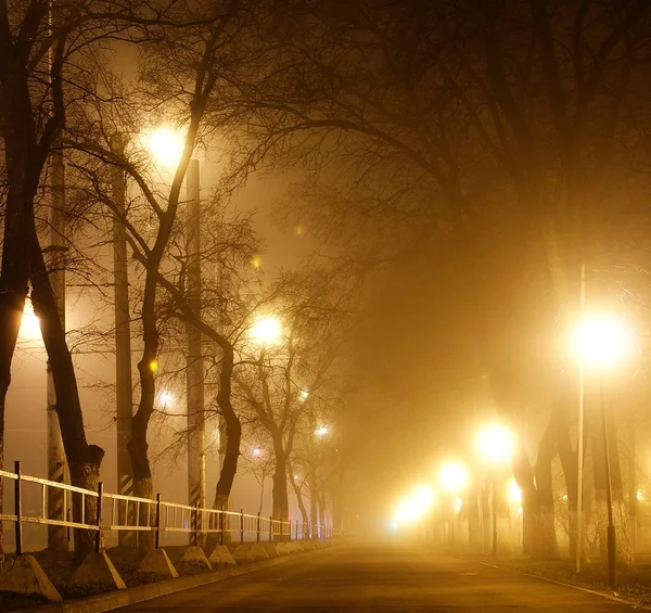 Brouillard dans le parc — Photo