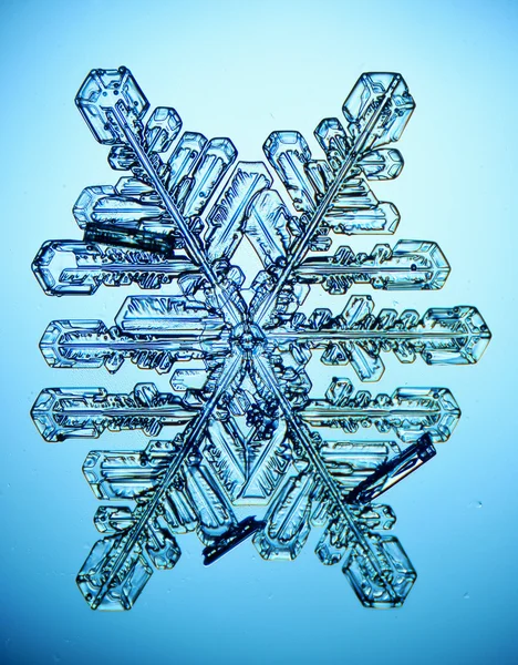 Ice crystal — Stockfoto