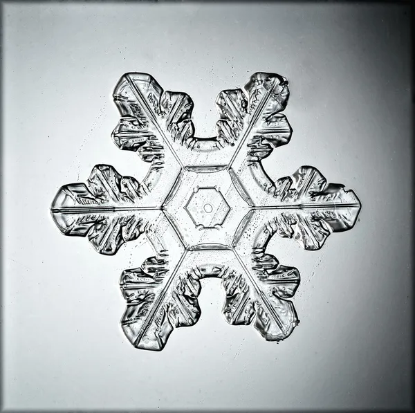 Ice crystal — Stockfoto