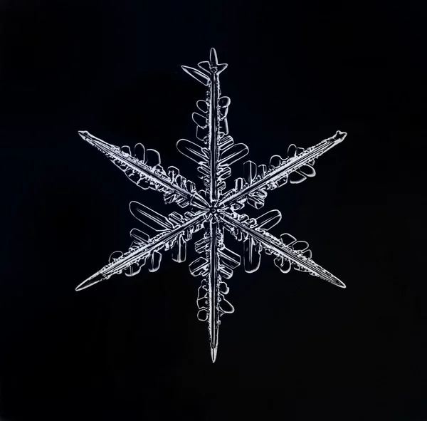 Natural snowflake isolated on a black background — Stock Photo, Image