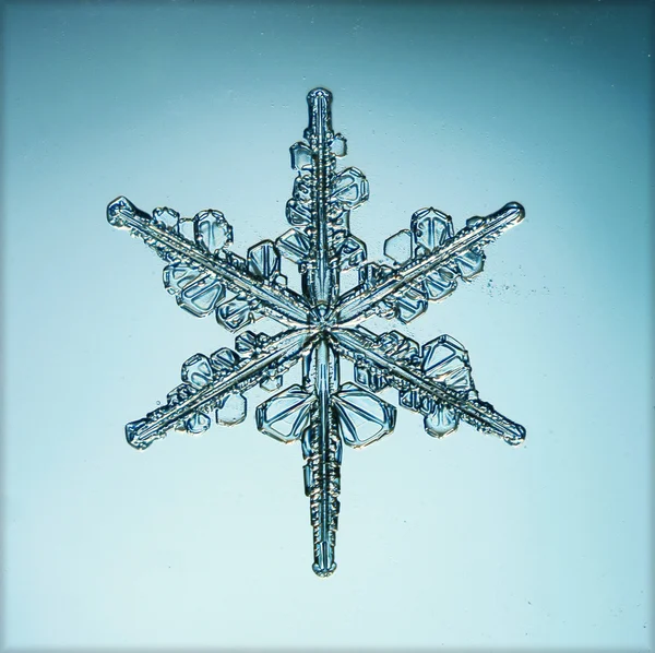 Ice crystal — Stockfoto