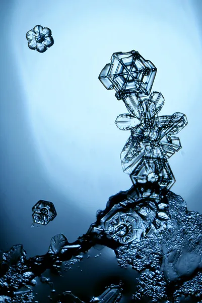 Ice crystal — Stockfoto