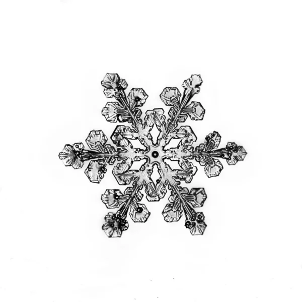 Snowflake on white background natural — Stock Photo, Image