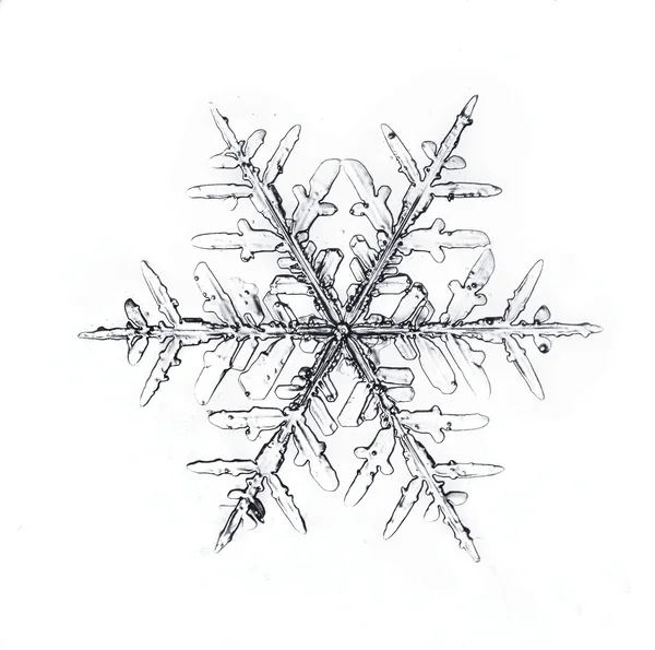 Snowflake on white background natural — Stock Photo, Image