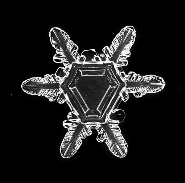 Snowflake isolated on a black background natural — Stock Photo, Image