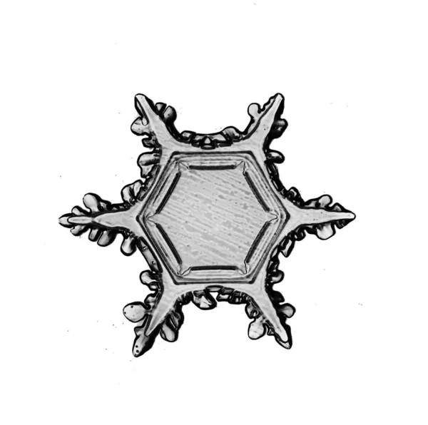 Simple snowflake — Stock Photo, Image