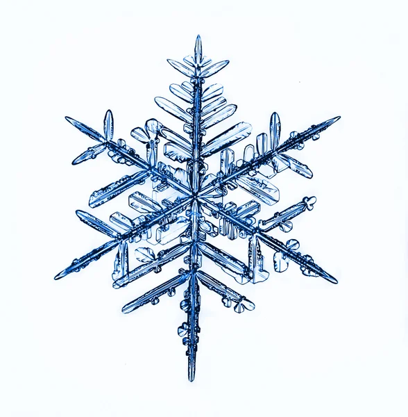 Natural snowflake — Stock Photo, Image