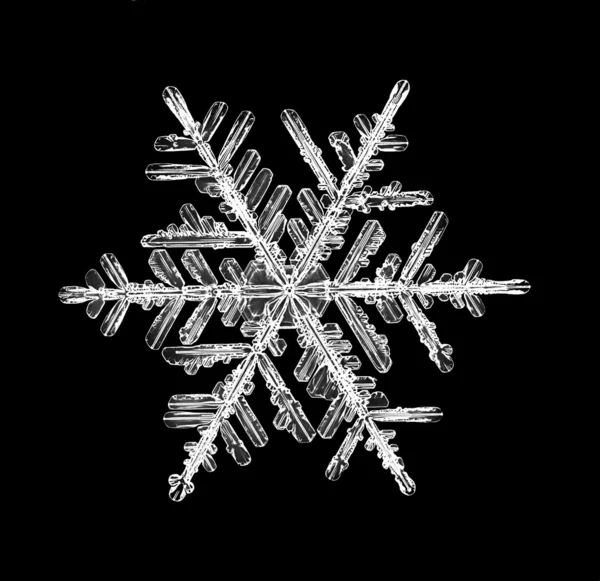 Νιφάδα χιονιού απομονωμένη σε ένα μαύρο φόντο, φυσικό — Φωτογραφία Αρχείου