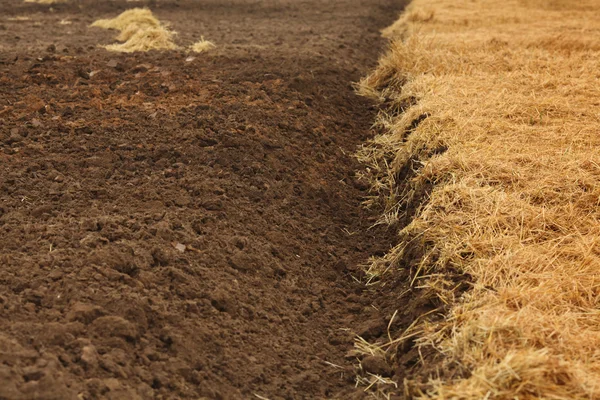 Field — Stock Photo, Image