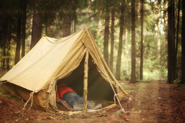 Régi sátor az őszi erdőben, otthon kaland és utazás — Stock Fotó