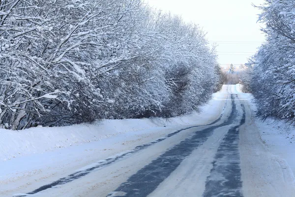 Ormanda kış yolu