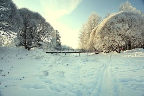 Paysage enneigé dans la forêt avec pont en bois — Photo