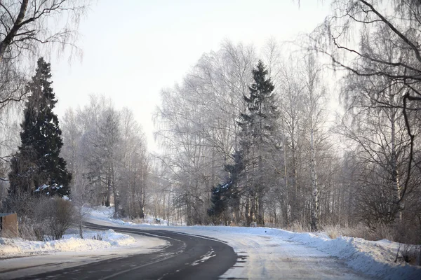 Route d'hiver dans la forêt — Photo