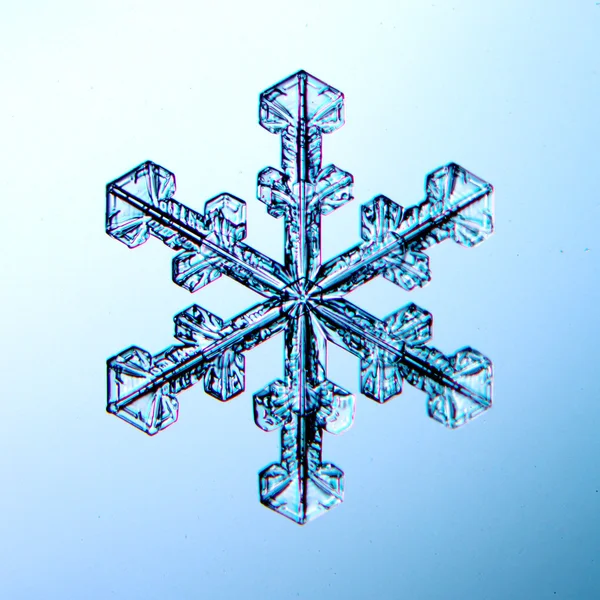 Copos de nieve reales cristales de agua — Foto de Stock
