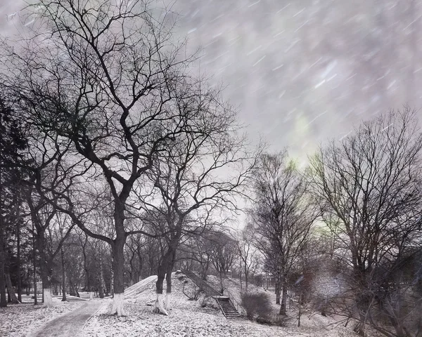 Погана погода, сніг і вітер в міському парку, дерева без листя, сірі тони, автономний стрес — стокове фото