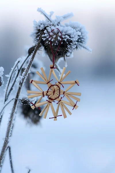 Snowflake on a stalk of grass — Stock Photo, Image