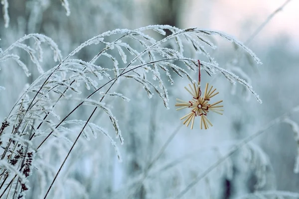 Ρομαντική κάρτα Χριστουγέννων snowflake σε μια λεπίδα της χλόης — Φωτογραφία Αρχείου