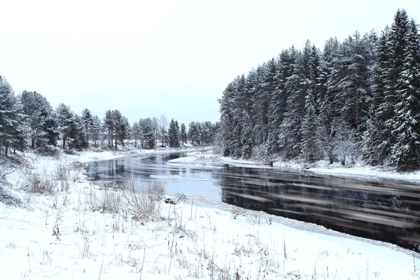 Magische bos, een wintersprookje Kerstmis landschap — Stockfoto