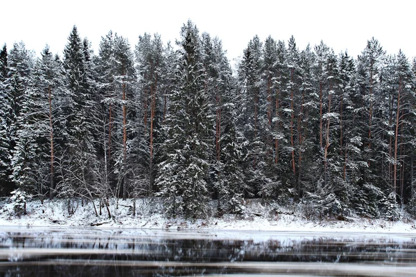 Fiume ghiacciato nella foresta — Foto Stock