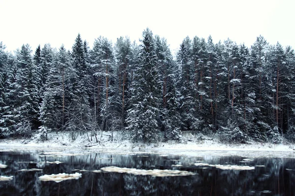 Rivière gelée dans la forêt — Photo