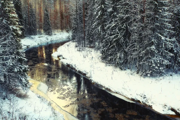 Замерзання річки в лісі — стокове фото