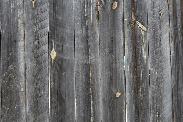 Textura de tábuas de madeira — Fotografia de Stock