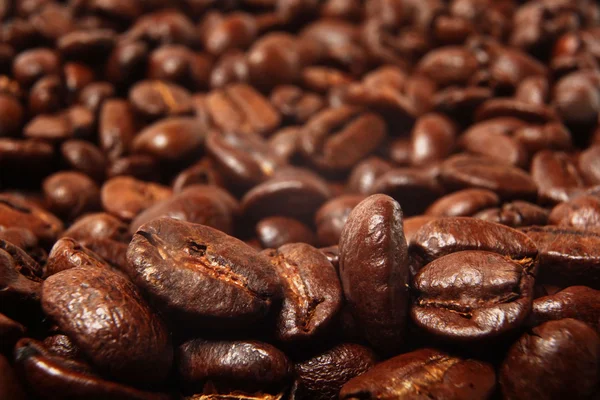 Grãos de café, textura arábica — Fotografia de Stock