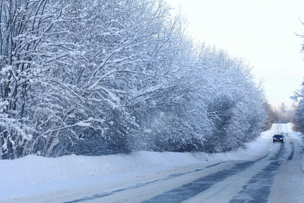 Camino de invierno en el bosque —  Fotos de Stock