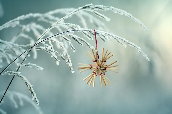 Ρομαντική κάρτα Χριστουγέννων snowflake σε μια λεπίδα της χλόης — Φωτογραφία Αρχείου