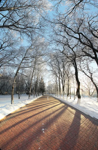 Kış manzarası şehir, parkta yürüyüş — Stok fotoğraf