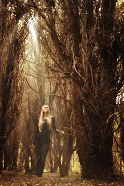 Красива молода дівчина в чарівному лісі, загадкова казка Хеллоуїн — стокове фото