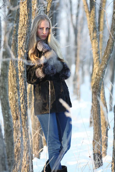 Portrait of frozen girl beautiful blonde — Stock Photo, Image