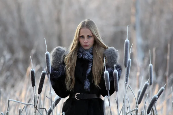 Portrait of frozen girl beautiful blonde — Stock Photo, Image