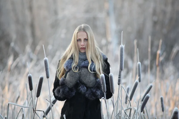 Portrait of frozen girl beautiful blonde — Stock Photo, Image