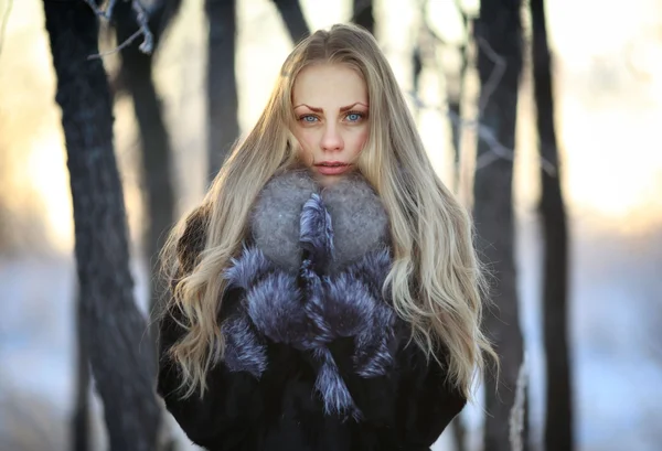 Portrait of frozen girl beautiful blonde — Stock Photo, Image