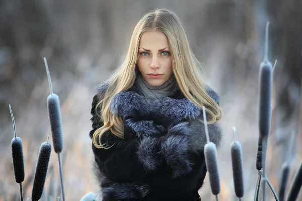 Portrait of frozen girl beautiful blonde — Stock Photo, Image