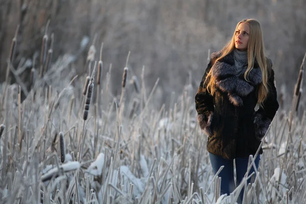 Portrait of frozen girl beautiful blonde — Stock Photo, Image