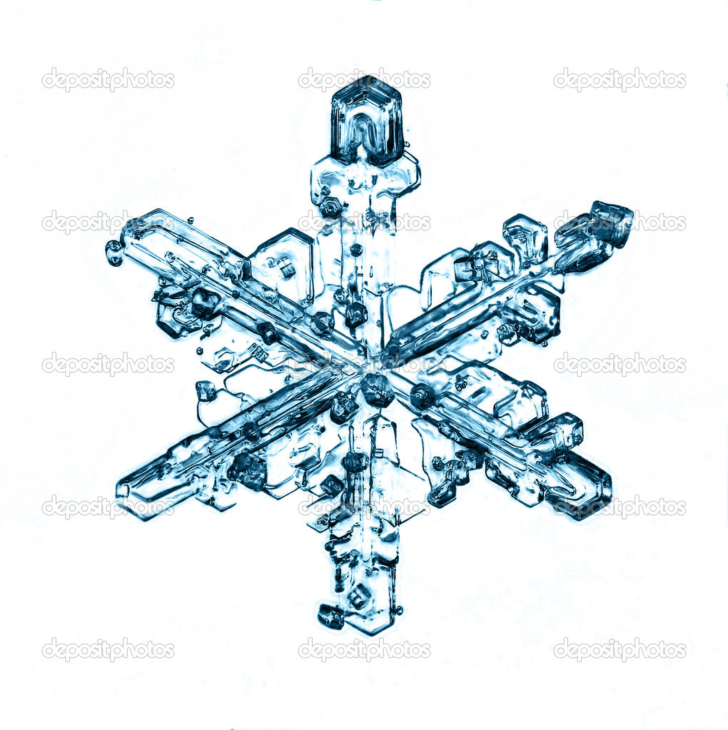 natural snowflake isolated on a white background a strong increase