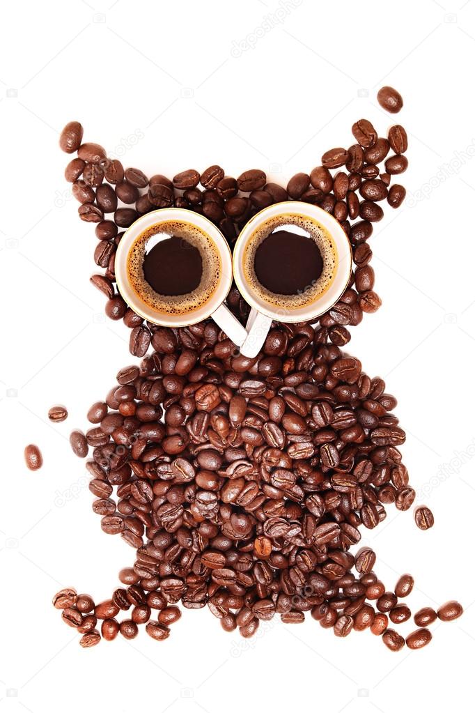 A funny owl, made of coffee seeds and two caps