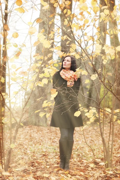 Mooie vrouw in de herfst bos — Stockfoto