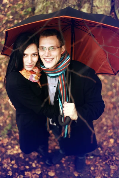 Pareja joven bajo un paraguas en el bosque de otoño —  Fotos de Stock